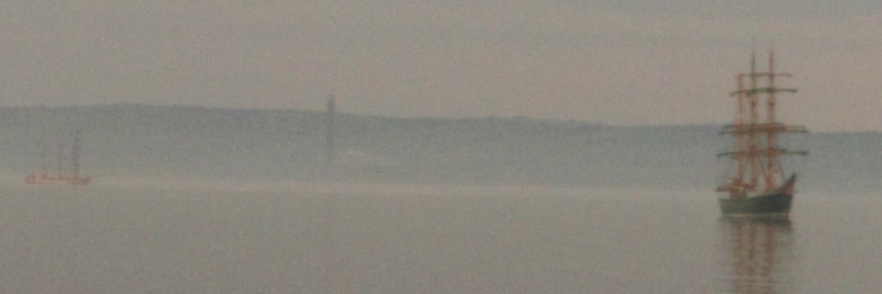 Ann-Marie Foster banner