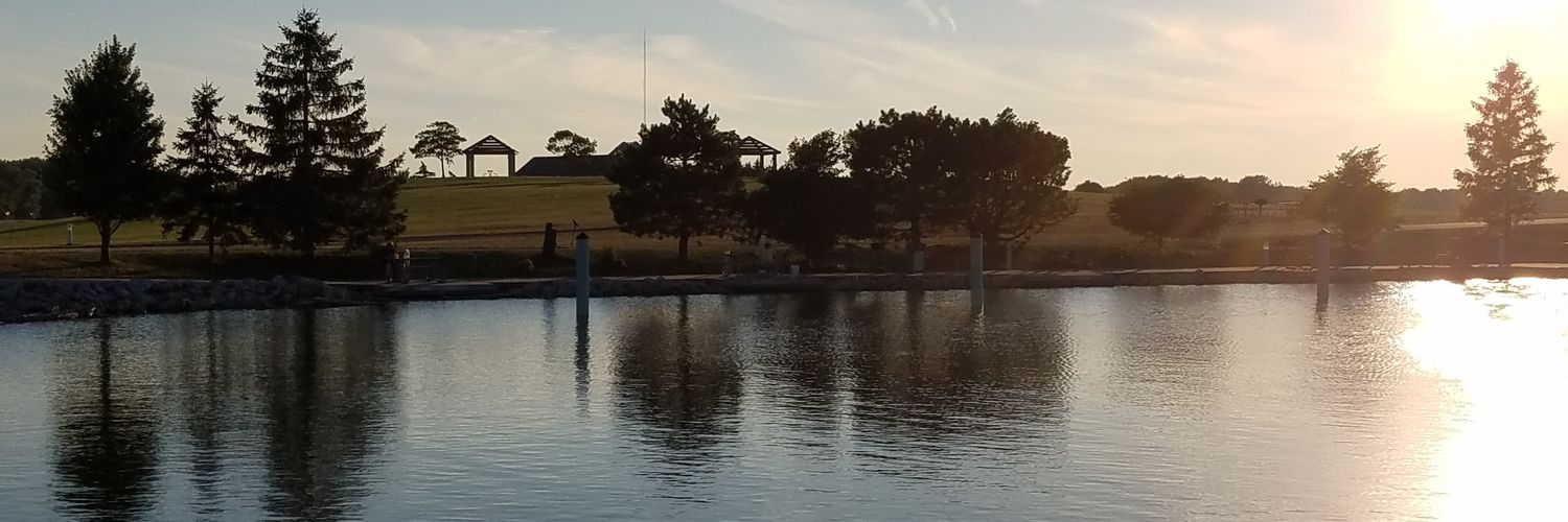 Allison McDaniel banner