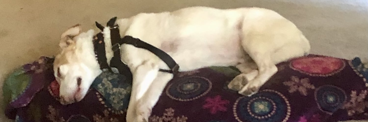 Debbie Culwell banner