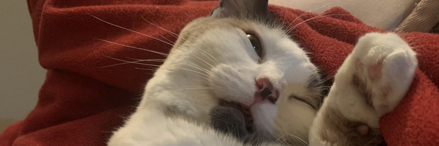 Shelbye Rose(omonas) banner