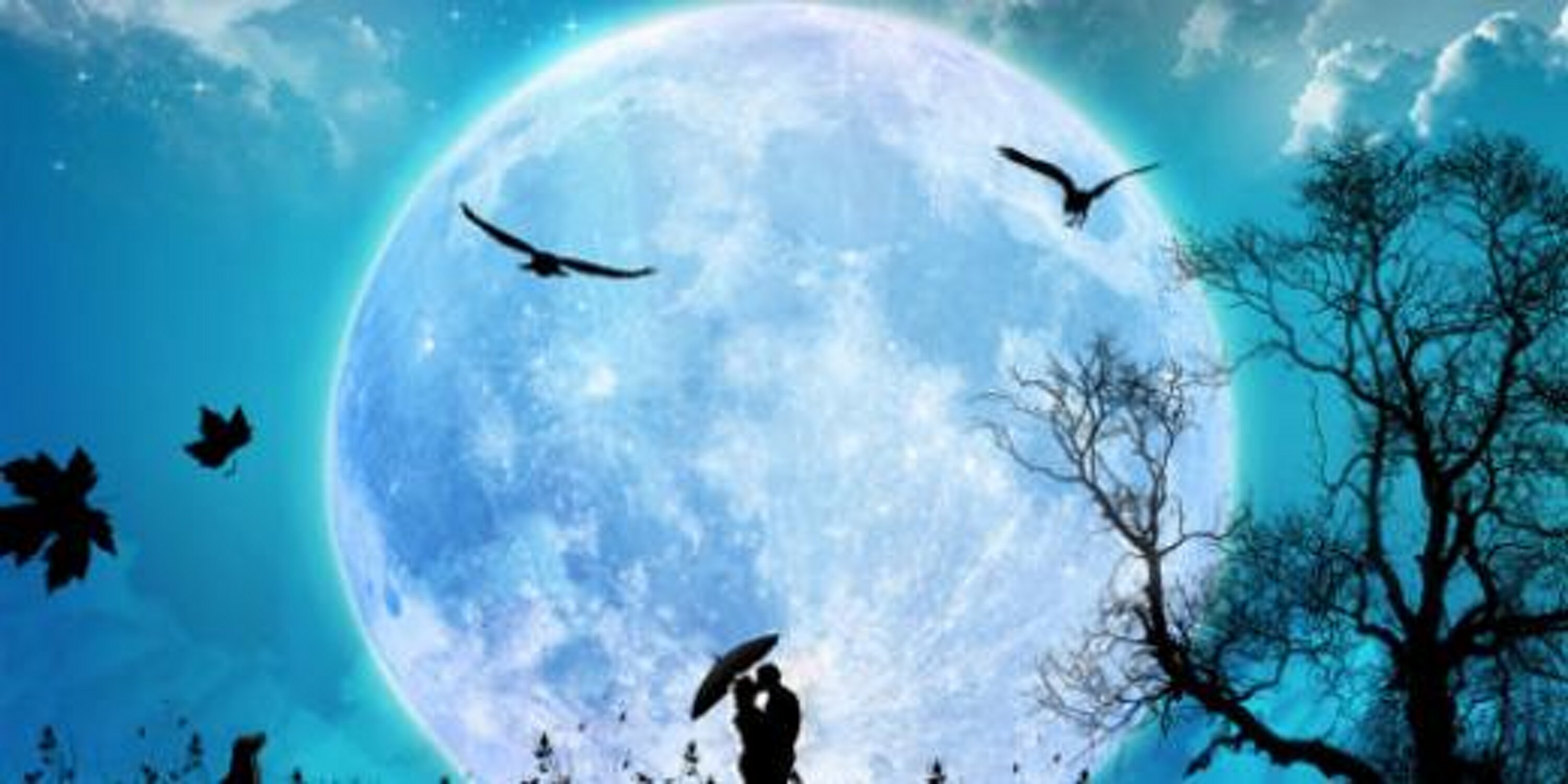 Lady_A_M's profile banner image