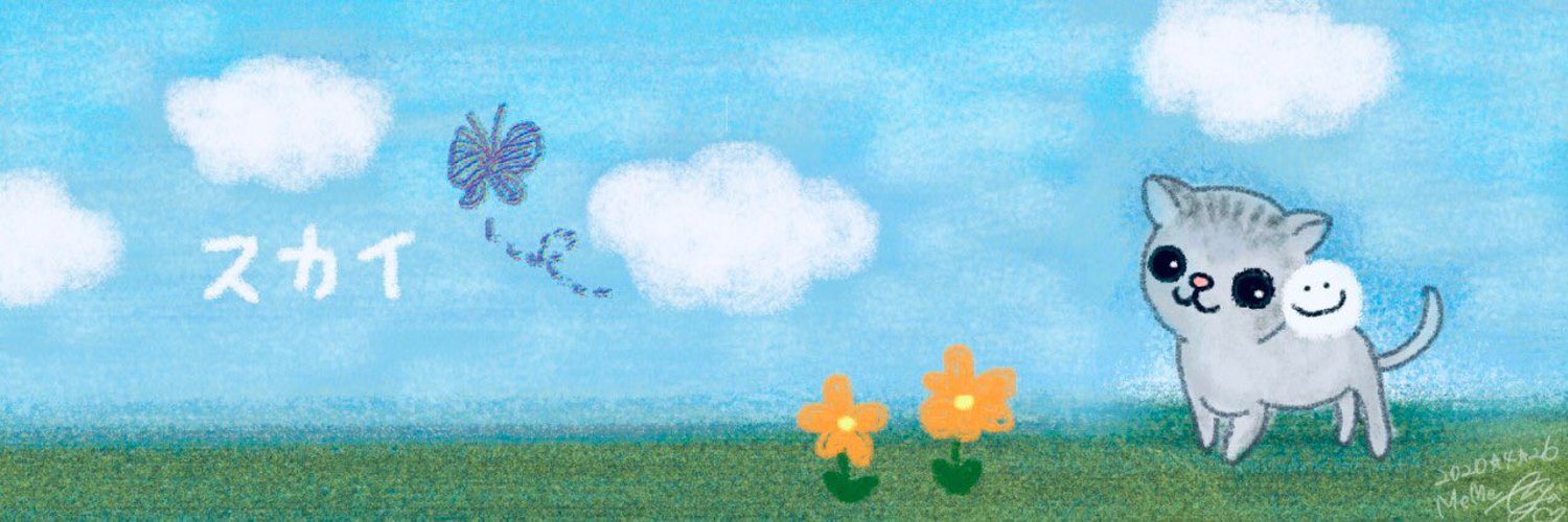 skyado2010's profile banner image