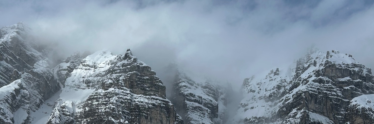 bernardowerner's profile banner image