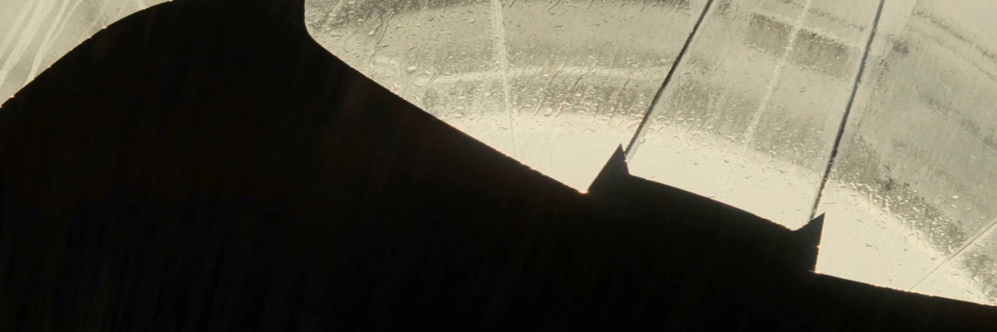 trindadef1's profile banner image