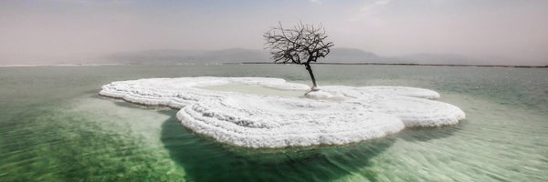 Rincevent_ Profile Banner