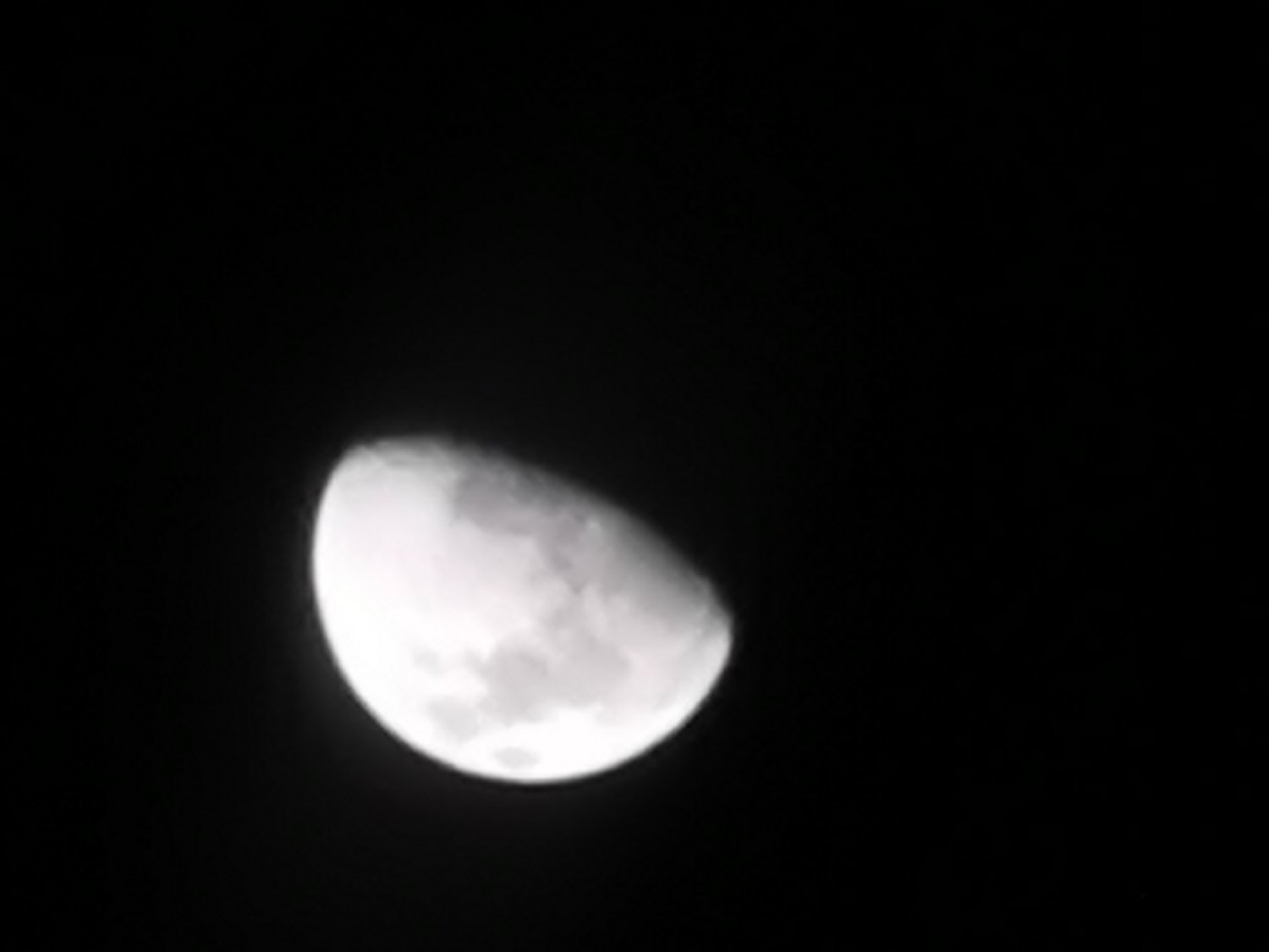 ROBERT HERNANDEZ banner