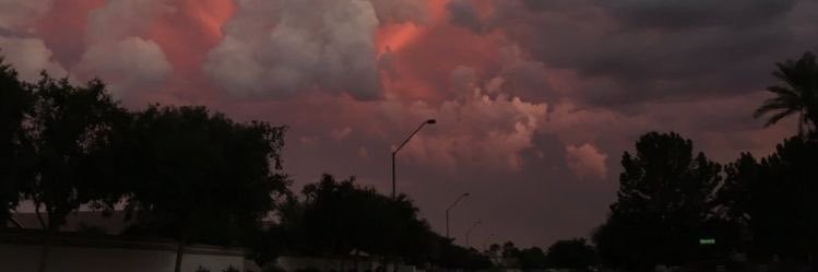 luunass_'s profile banner image