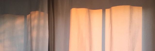 ZIIIX🌸 banner