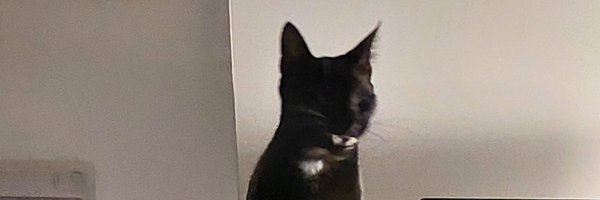 httpsmehua Profile Banner