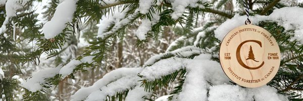 CIF_IFC Profile Banner