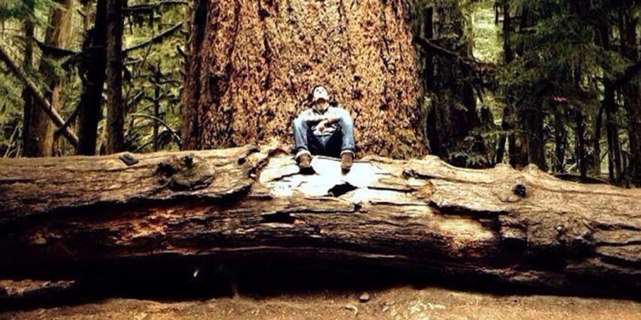 dbtreecare's profile banner image