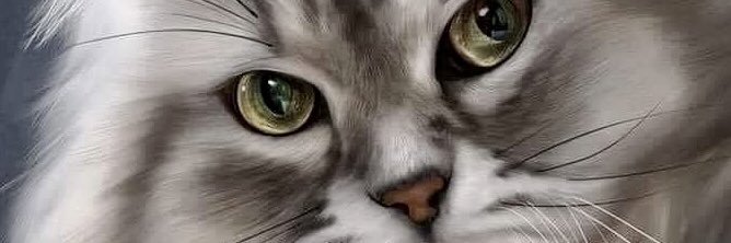 MinsterStudios's profile banner image