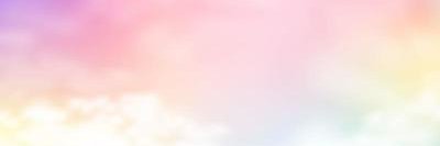 KumamonOut's profile banner image