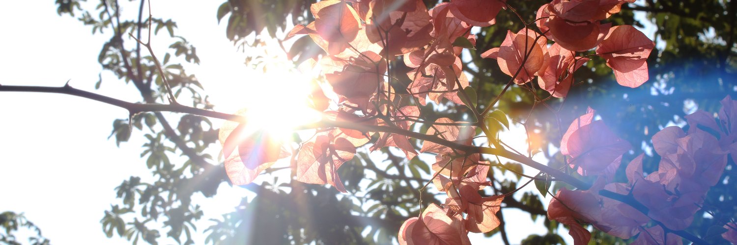 ER_0R ・ delulu girlie banner