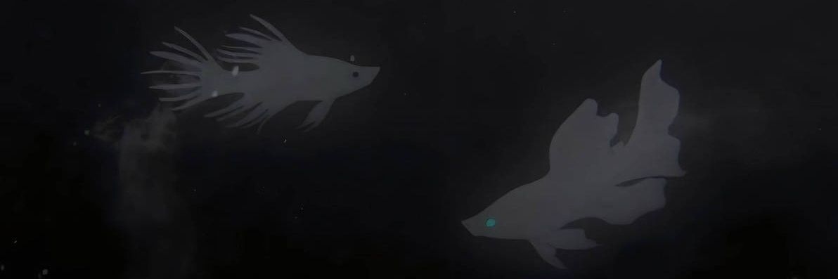 meda🍂's banner