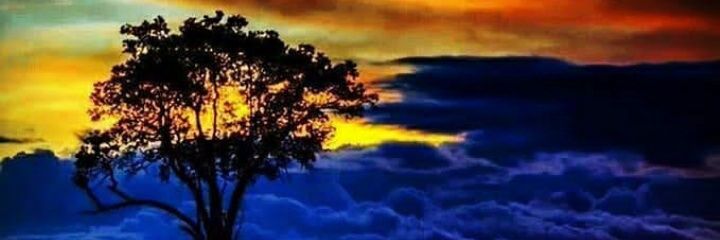 elfrak's profile banner image