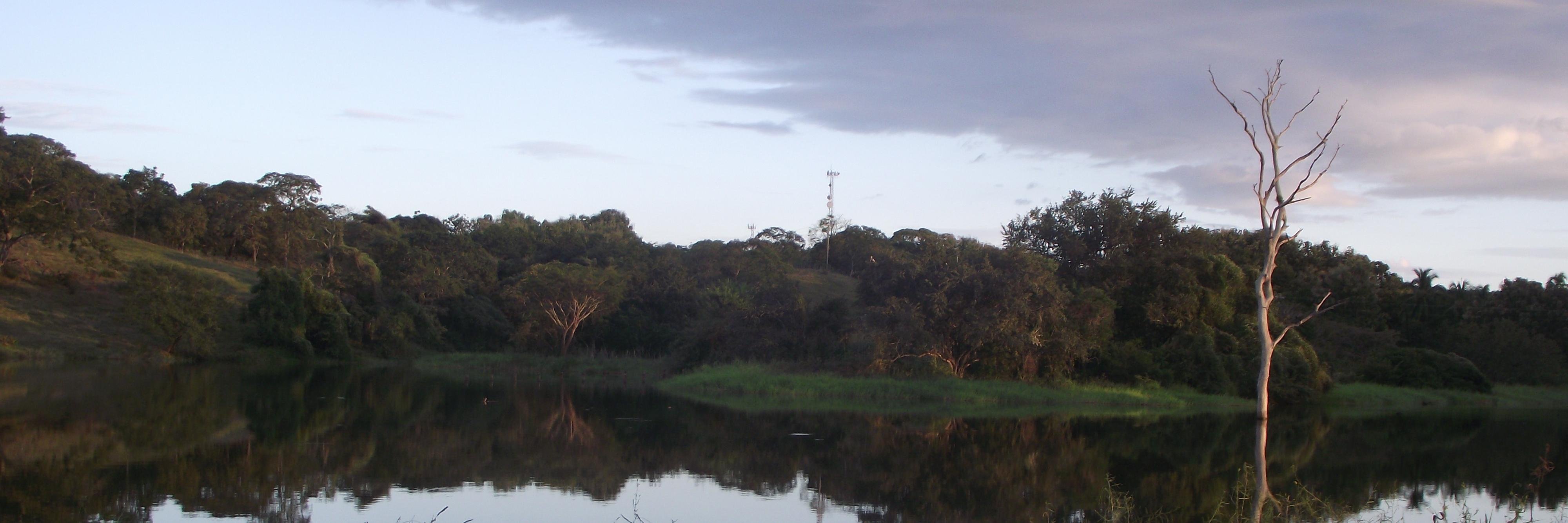 Maya Srikrishnan banner