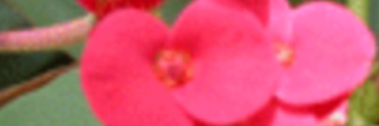 zekibaran's profile banner image