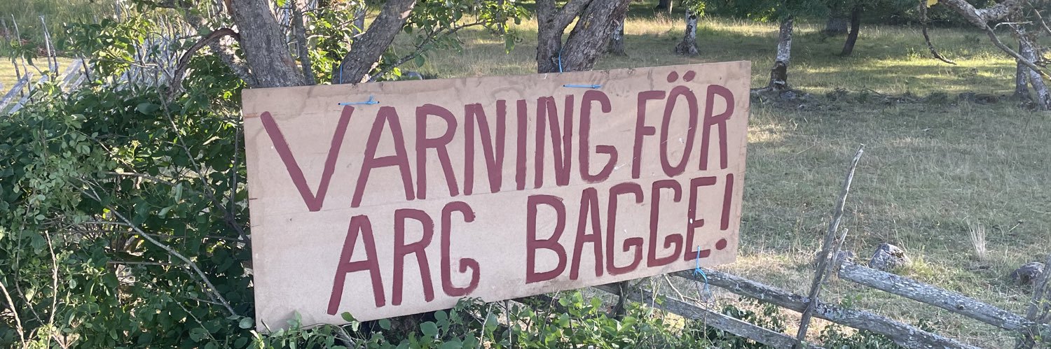 Baggovíç banner
