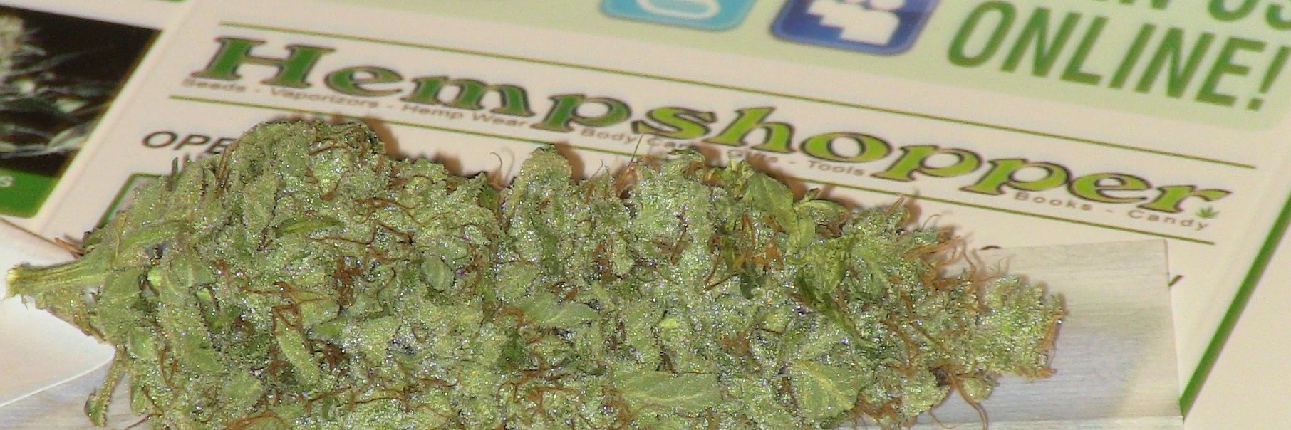 seedshop's profile banner image