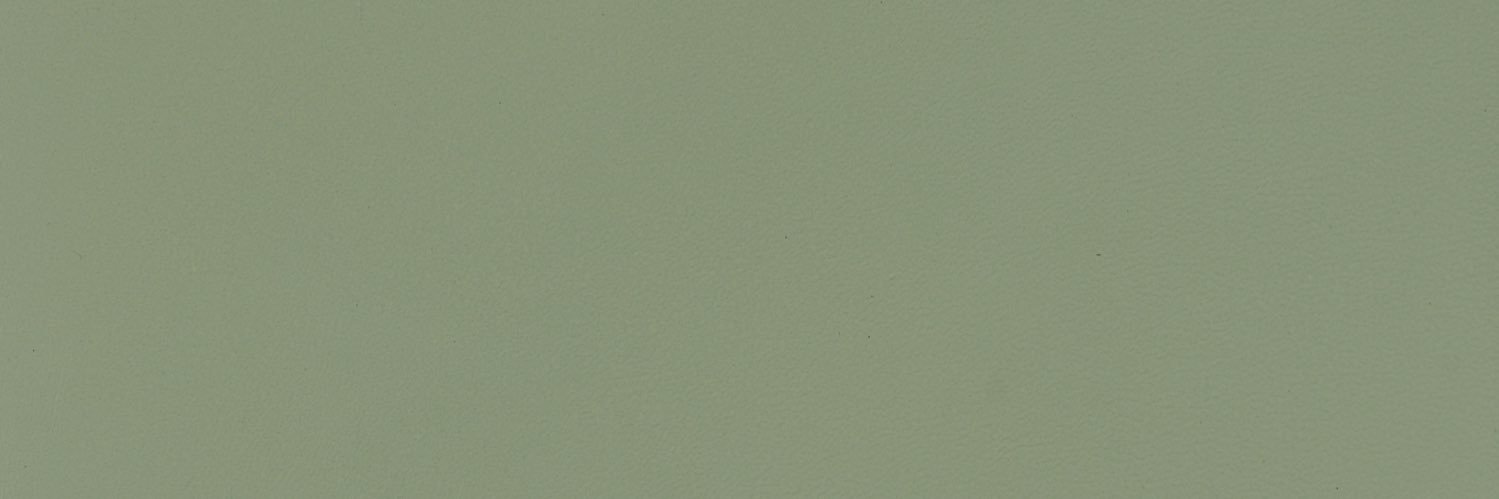 dewlapeep's profile banner image