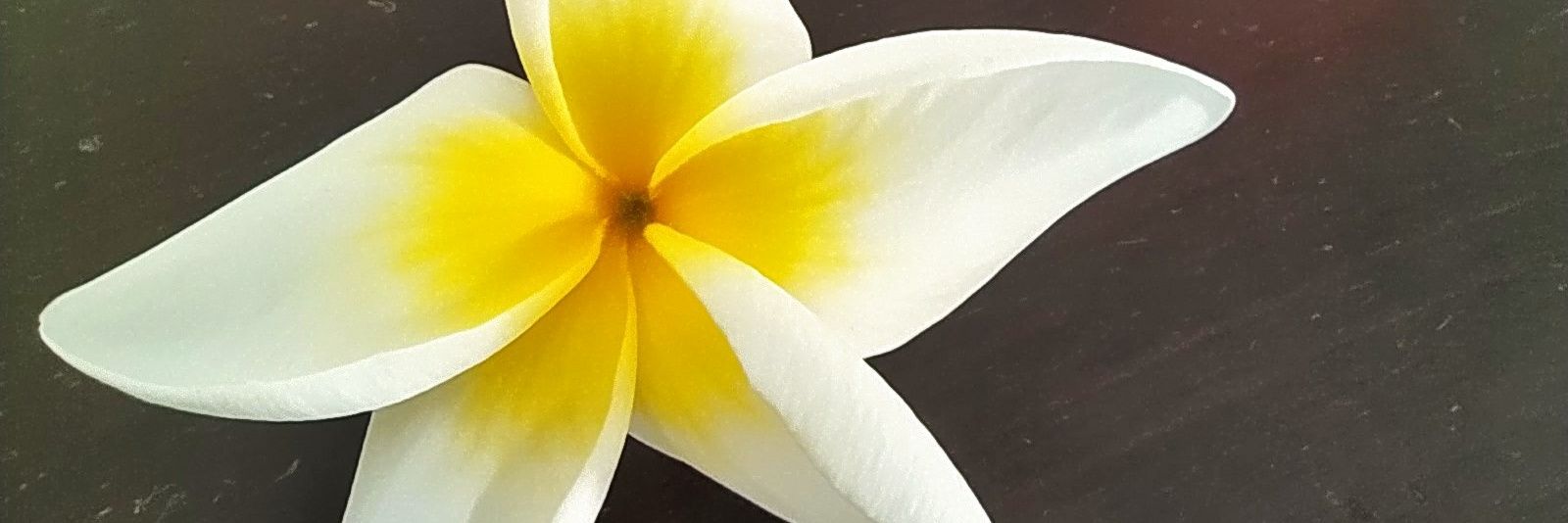 PacoFFigue's profile banner image
