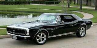 nelsonchicas2π² banner