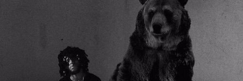TaylorLudvik's profile banner image
