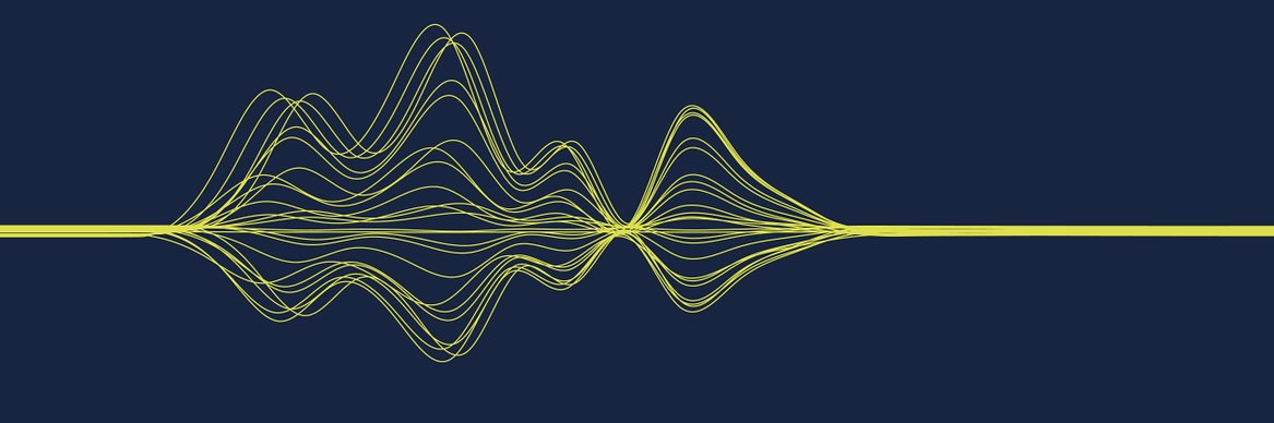 Sandra Wallace banner