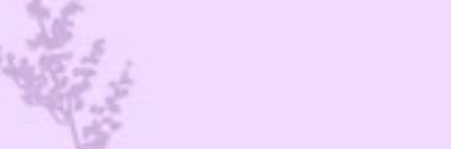 ar_a_k's profile banner image