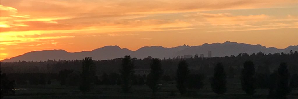 The English Chef banner