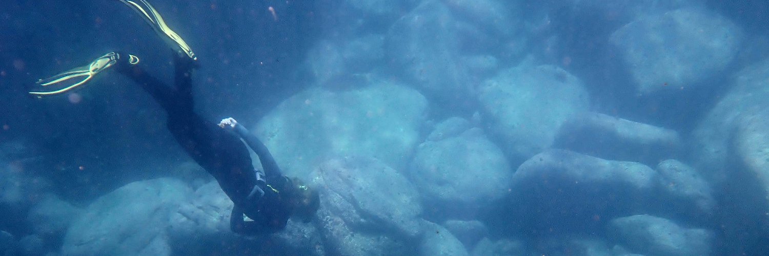 Milly Caley @millycaley.bsky.social banner