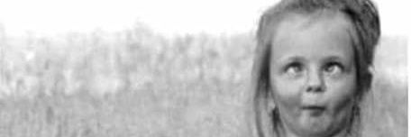 El Palta York banner