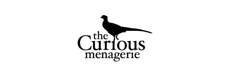 CuriousInfo's profile banner image