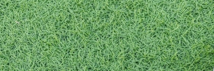 KudyKk's profile banner image