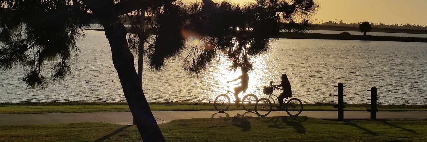 Paul Enlow PhD banner