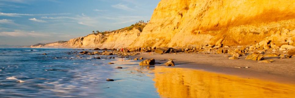 Bare Beach Bum banner