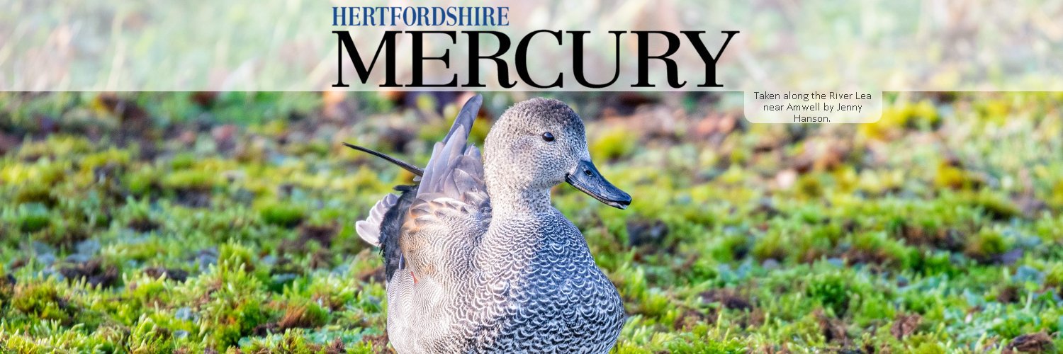 Hertfordshire Mercury Community banner