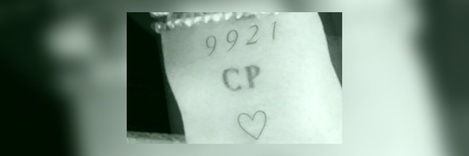 Algodón de azúcar 🤍 🦖 banner