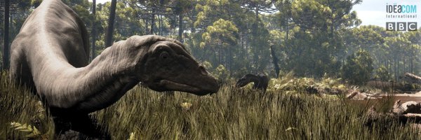 IdeacomDOC Profile Banner