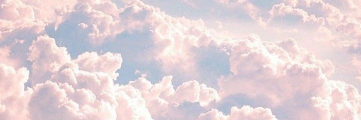 Joss🦩 banner