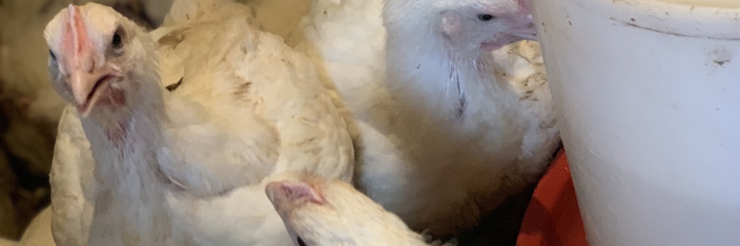 AndrewWedu's profile banner image