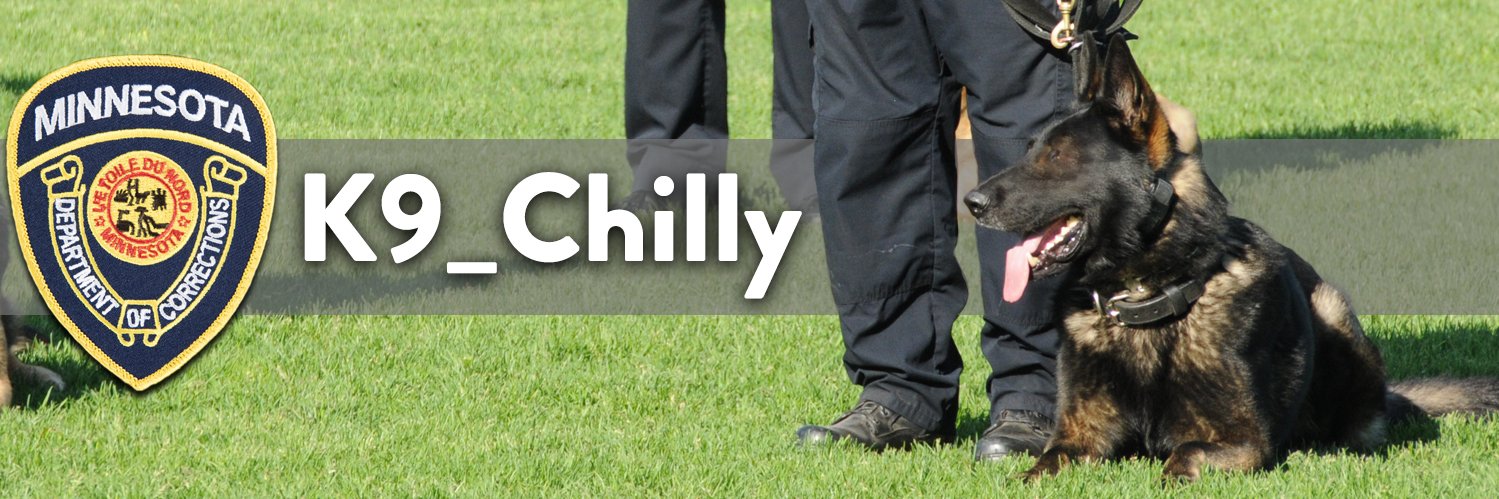 K9 Chilly banner
