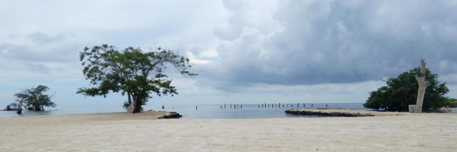 MedinaRodo's profile banner image