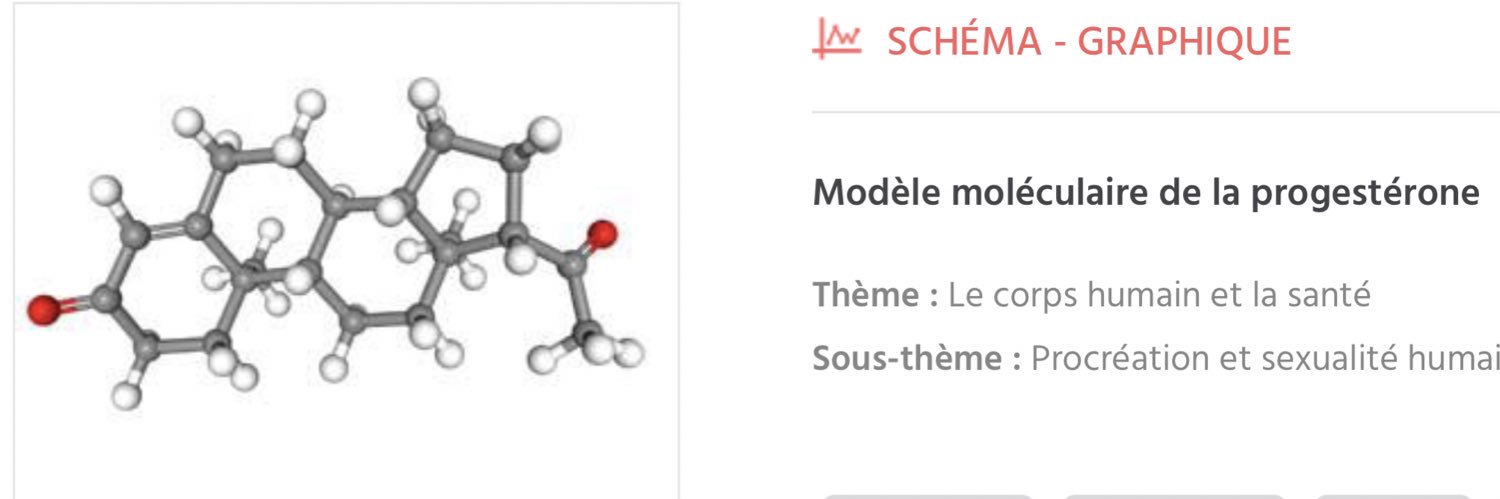 DocToDoctor - Dr. Armando Molina Betancor banner