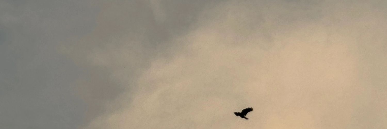 m_e1112's profile banner image