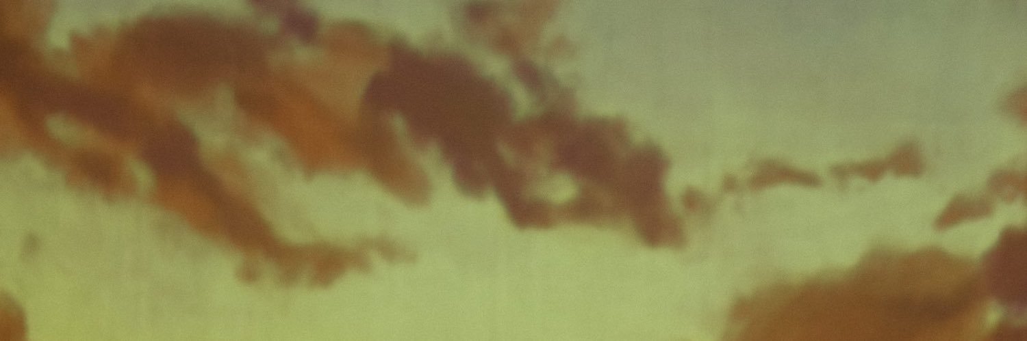 FANNY LU CHILE banner