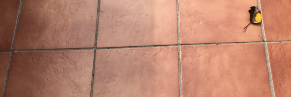mybigblind's profile banner image