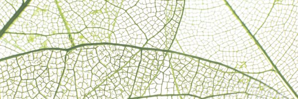 phytofrontiers Profile Banner