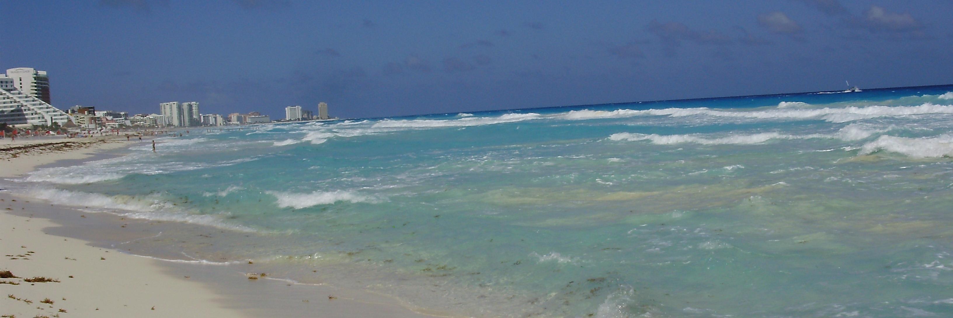 jessica lopez banner